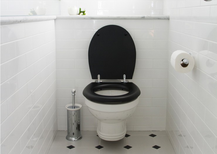 New Caroma Profile Soft Close Toilet Seat With Plastic Hinges 300016w 9311440452160 Ebay