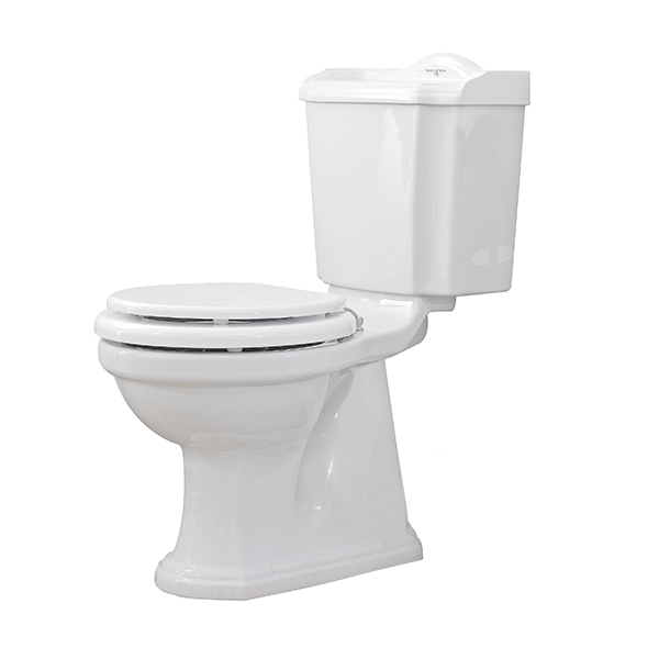 s trap toilet and cistern
