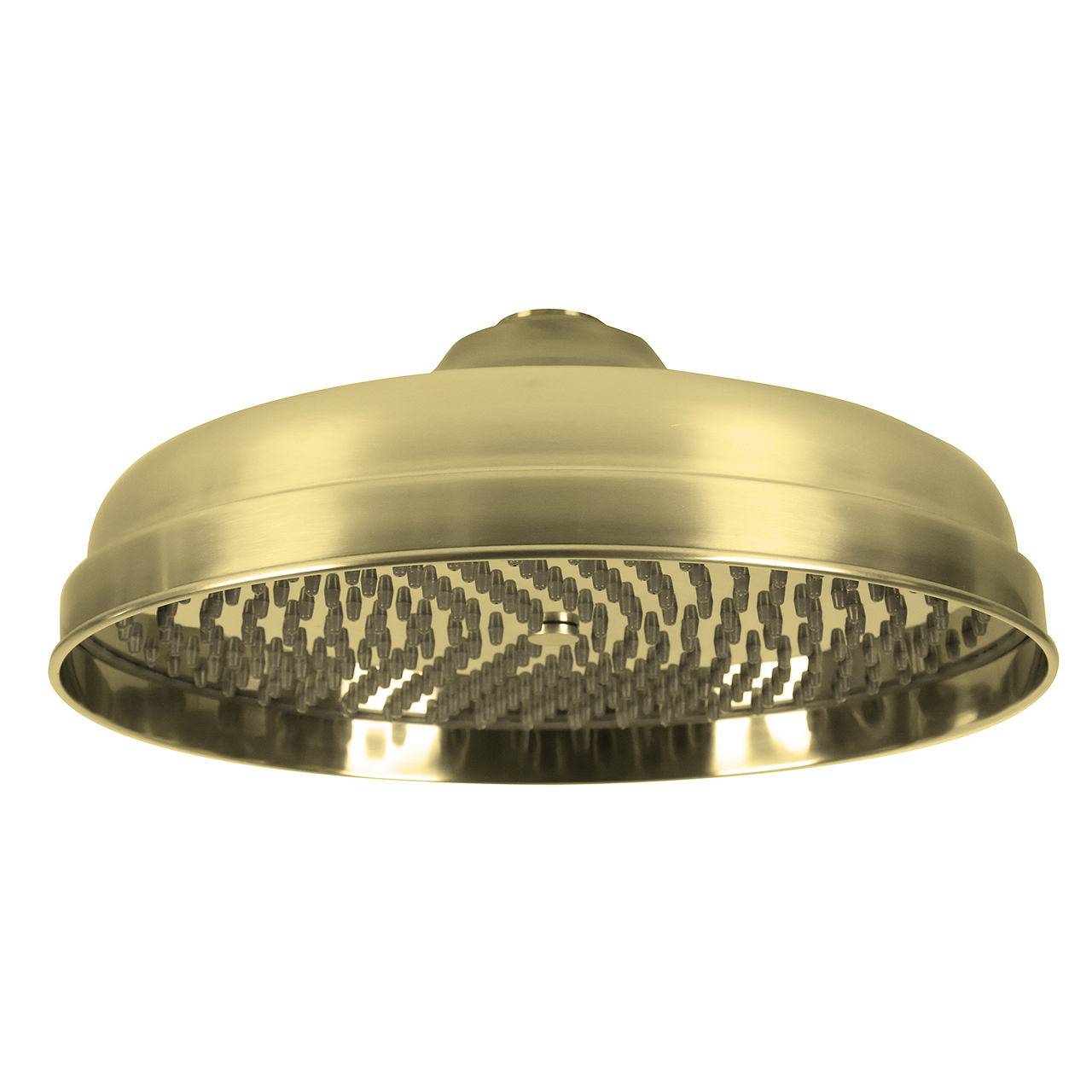 310mm shower rose with easy clean plate
