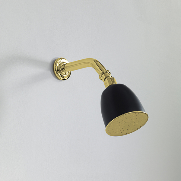 Rockwell 100mm shower rose with option of painted finish on 145mm angled arm with swivel