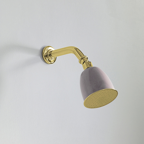 Rockwell 100mm shower rose with option of painted finish on 145mm angled arm with swivel