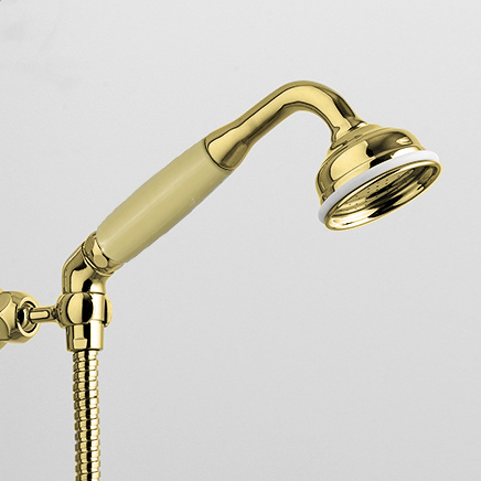Rockwell angled handshower with hose