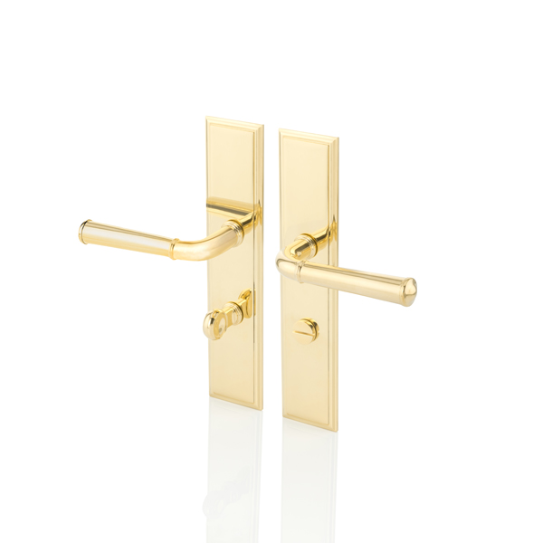 Darlington door lever handle with backplate and privacy turn/release