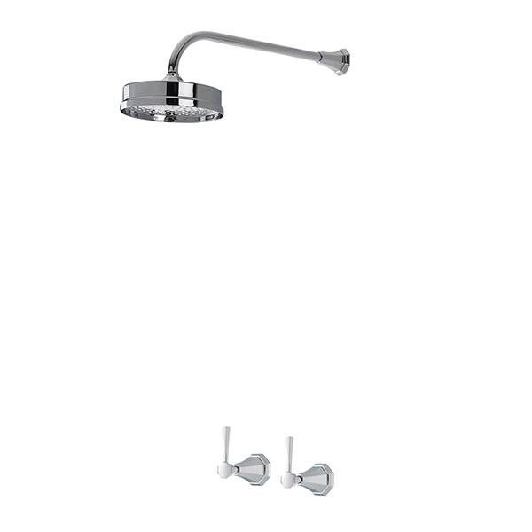Deco example shower layout D1B