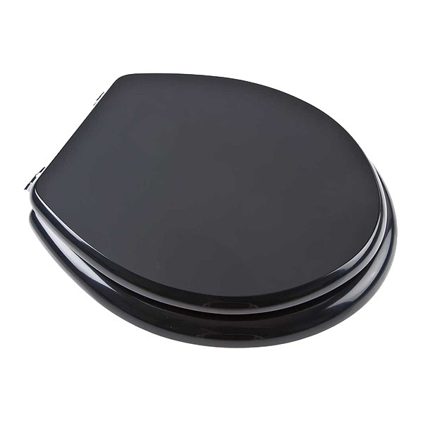 Toilet seat in Powder Blue